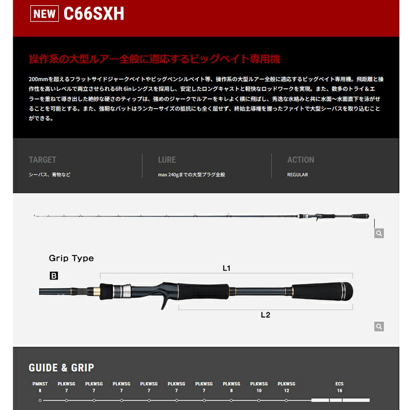 ボートゲーマー SSD C66SXH (2)