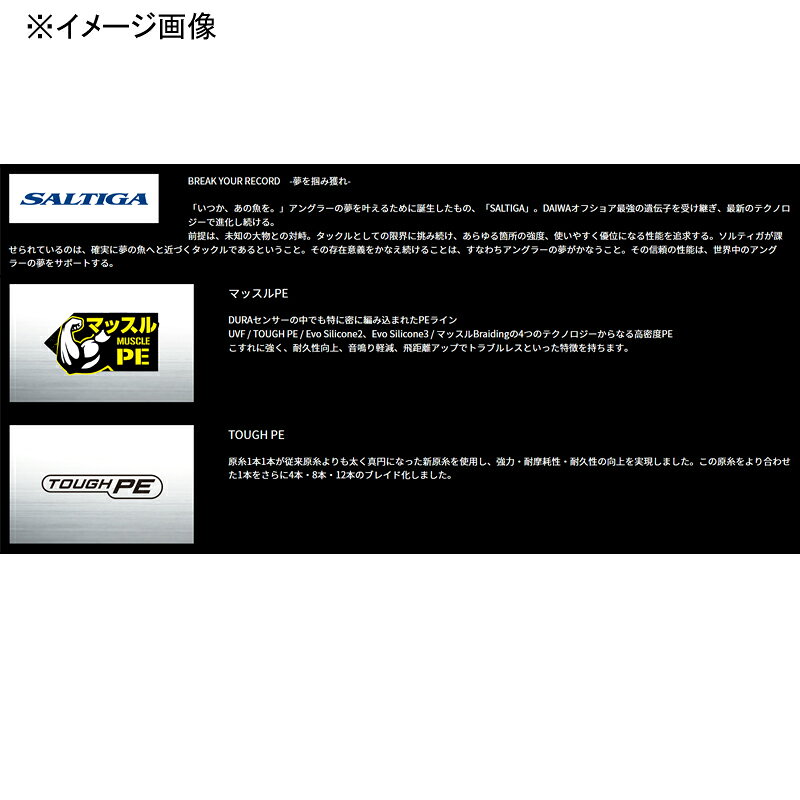 DAIWA UVF ソルティガデュラセンサー×12EX+Si3 8号 / 300m (2)