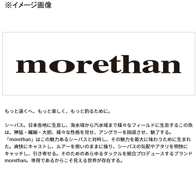 MORETHAN トリックアッパーR65F ライムパールサンド (2)