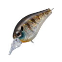 【12/5迄 最大2,000円OFF】 エバーグリーン(EVERGREEN) ピッコロダイブシャロー 40mm #246 稚ギル 11783246