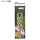 ハヤブサ(Hayabusa) 大アマダイ フロロカーボン仕様 2本鈎2セット 鈎11/ハリス4 SE688