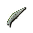 【12/5迄 最大2,000円OFF】 スミス(SMITH LTD) D-コンタクト 110mm 51 グリーンヤマメ