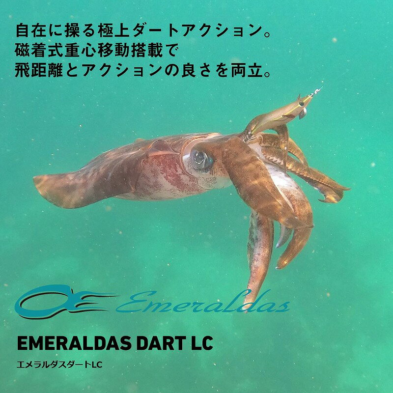 エメラルダスダートLC3.0 ケイムラーグレーエビ の商品画像2枚目