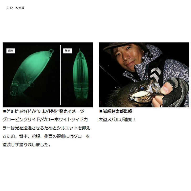 月下美人 源五郎Z36F 抱卵エビ の商品画像2枚目