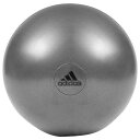 adidas(アディダス) ジムボール 55cm グレー 55cm グレー PRA-ADBL11245-GR