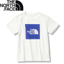 THE NORTH FACE(UEm[XEtFCX) Kid's SHORT SLEEVE COL SQU-LG TEE LbY 120cm zCg~TNFu[(WT) NTJ32361