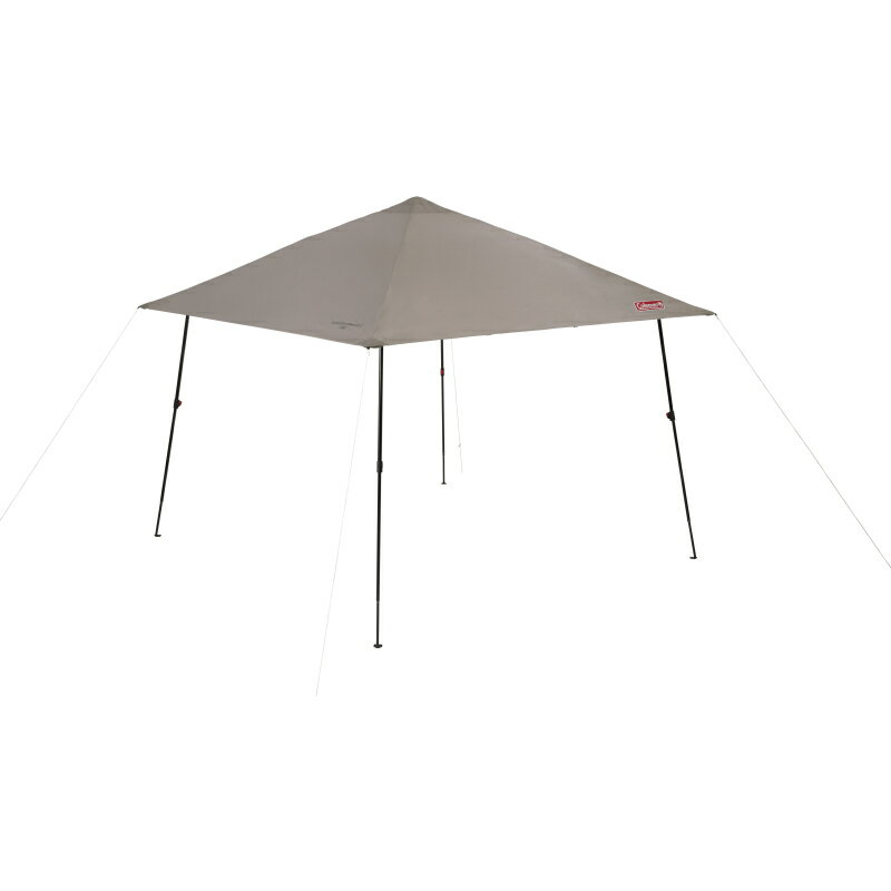 ��2�������ͽ��� Coleman(������ޥ�) ���󥹥���ȥХ�������������IV L ���졼���� 2244025