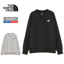 THE NORTH FACE(ザ・ノース・フェイス) グラフィック スウェット クルー NT82492 全2色