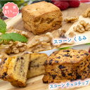 【着後レビューで500円OFFクーポン配布中】【糖質81％オフ】焼菓子 スコーン チョコチップ5個 くるみ5個 2種類 低糖質 スイーツ 糖質制..