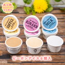 【着後レビューで500円OFFクーポン配布中】【糖質73%オフ】アイス ビーガンアイス6個入 アルロース入り 低糖質 スイーツ 糖質制限 デザート 糖質カット ...