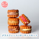 【着後レビューで500円OFFクーポン配布中】【糖質90%オフ】父の日限定商品 グラスフェッドバターサンドセット 低糖質 糖質制限 糖質カット グルテンフリー 低糖質専門店 NATUVIEW 砂糖不使用 ケトジェニック 低糖質スイーツ 糖質オフスイーツ