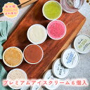 【着後レビューで500円OFFクーポン配布中】【アルロース入り】アイス プレミアムアイスクリーム 6個入 低糖質 スイーツ 糖質制限 デザート 糖質カット 低糖...