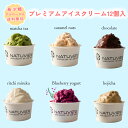 【着後レビューで500円OFFクーポン配布中】【アルロース入り】アイス プレミアムアイスクリーム 12個入 低糖質 スイーツ 糖質制限 デザート 糖質カット 低...