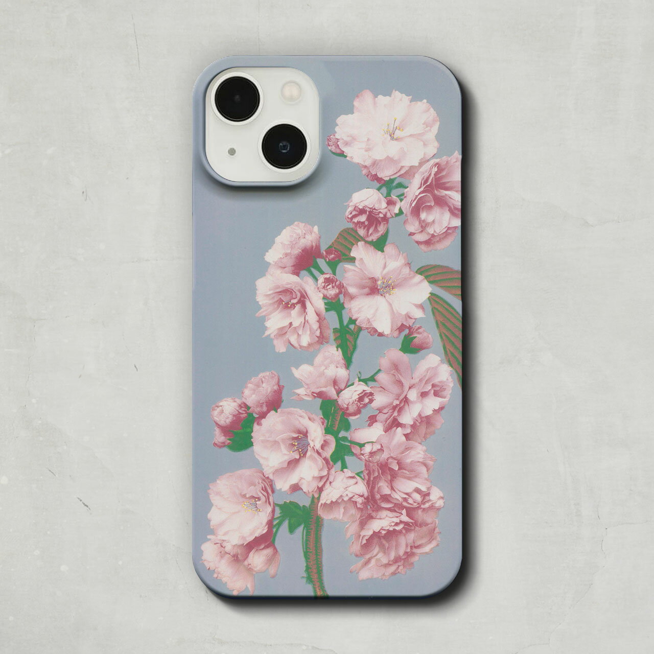 スマホケース / 小川 一真「 桜 (1887-1897)」 iPhone 全機種対応 14 13 12 11 SE Pro Max Plus mini ケース カバー さくら 桜 写真 花 花柄 フラワー 春 アンティーク 絵画 アート レトロ マット ペア 個性的 おもしろ