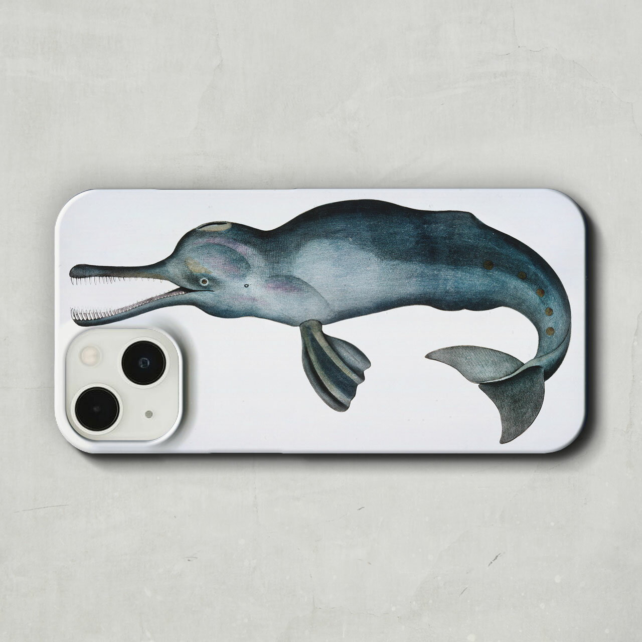 スマホケース / ジョン エドワード グレイ「インドカワイルカ (1830-1834)」 iPhone 全機種対応 14 13 12 11 SE Pro Max Plus mini ケース カバー いるか イルカ 海豚 動物 アニマル イラスト 絵画 アート レトロ マット ペア 個性的 おもしろ