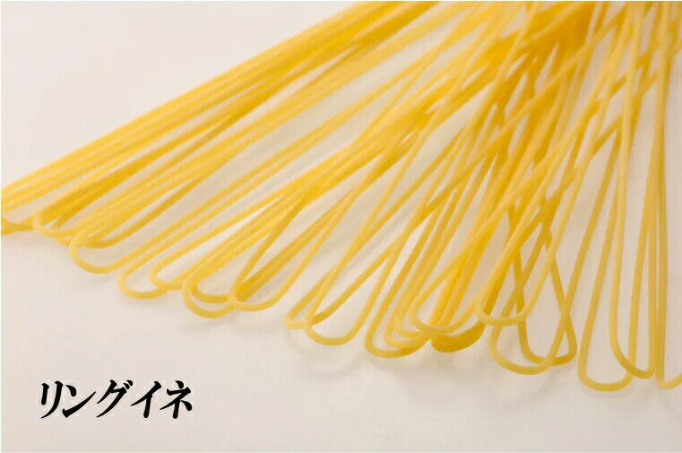 ラ ファブリカ デッラ パスタ リングイーネ 【500g】LA FABBRICA DELLA PASTA di Gragnano LINGUINE[パスタ ロングパスタ リングイネ ファッブリカ グラニャーノ]