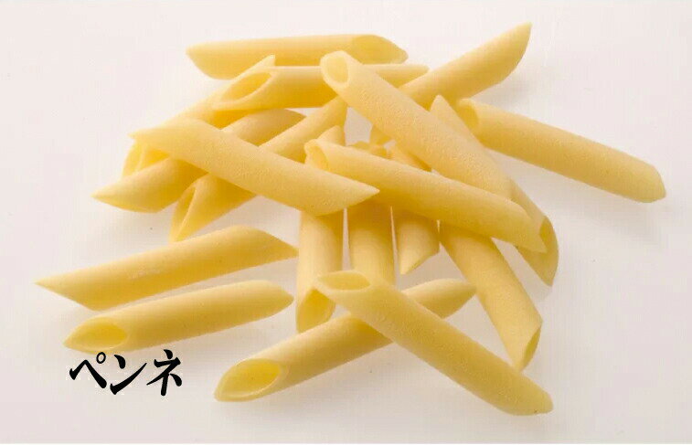 ラ ファブリカ デッラ パスタ ペンネ 【500g】 LA FABBRICA DELLA PASTA di Gragnano PENNE[パスタ ショートパスタ ペンネ マカロニ ファッブリカ グラニャーノ]