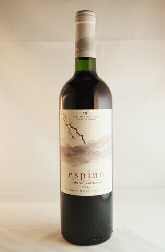 ウィリアム フェーブル チリ エスピノ カベルネ ソーヴィニヨン(2019)VINA WILLIAM FEVRE CHILE MOUNTAIN GROWN espino cabernet sauvignon D.O. ANDES MAIPO VALLEY 