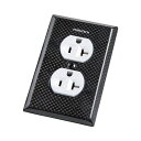 FURUTECH フルテック Outlet Cover 104-D ステンレスベース2口タイプ