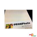 大豊和紙 伊勢和紙 Photo とりのこ色 300μm サイズ四切ワイド(一袋単色10枚入り) kt300Yw 【代引不可】