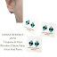 ǥ󥸥奨꡼ ²  ˥ Ҥ ͥ 쥤 С å ԥINDIAN JEWELRY ZUNI Turquoise & Onyx Channel Inlay Rhombus Silver Stud Pierce