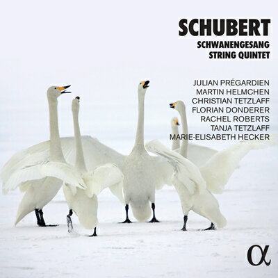 シューベルト: 白鳥の歌、弦楽五重奏曲／J.プレガルディエン、ヘルムヒェン、テツラフ