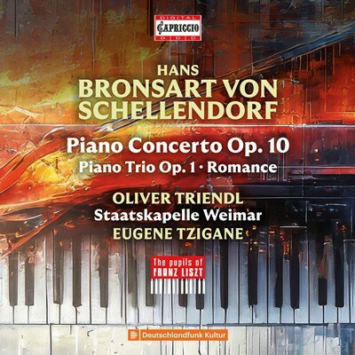ハンス・フォン・ブロンザルト：ピアノ協奏曲、ピアノ三重奏曲／トリンドル [1CD]
