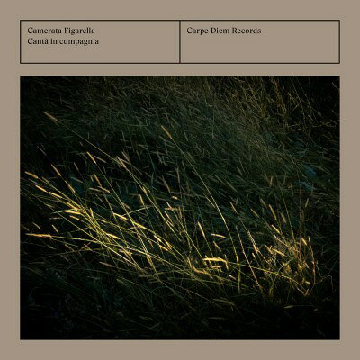 artwork of CD-16341