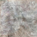 『aer〜大気』トリオ・ペルトマー・フラーニェ・ペルコラ [CD]