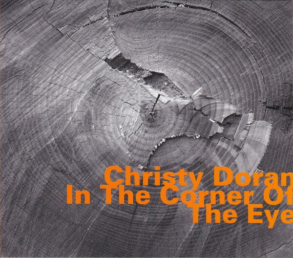 Christy Doran - In the Corner of the Eye[CD]