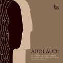 Audi, Audi 聞いて、聞いて