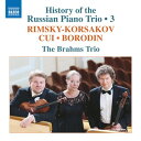 曲目・内容リムスキー＝コルサコフ（1844-1908）1-4.ピアノ三重奏曲 ハ短調（1897）（マキシミリアン・シテインベルクによる補筆完成版）セザール・キュイ（1835-1918）5.アルジャントーにて Op.40 第2番 Farniente - 逸楽 ニ長調（1887）（ピアノ三重奏版）［世界初録音］アレクサンドル・ボロディン（1833-1887）6-8.ピアノ三重奏曲 ニ長調（1860）第1集 … 8.574112　アリャビエフ、グリンカ、アントン・ルビンシテイン第2集 … 8.574113　チャイコフスキー、パブストアーティスト（演奏・出演）ブラームス・トリオ［メンバー］ニコライ・サチェンコ（ヴァイオリン）キリル・ロディン（チェロ）ナタリア・ルビンシテイン（ピアノ）レコーディング2018年1月20、21日 … 6-82018年4月8日 … 52018年6月1・2・4日 … 1-4モスクワ音楽院大ホール （ロシア）商品番号：8.574114〈ロシア・ピアノ三重奏曲の歴史 第3集〉リムスキー＝コルサコフ（1844-1908）：ピアノ三重奏曲 ハ短調キュイ（1835-1918）：Farniente - 逸楽ボロディン（1833-1887）：ピアノ三重奏曲 ニ長調 ［ブラームス・トリオ］ Piano Trios (Russian) - RIMSKY-KORSAKOV, N. / CUI, C. / BORODIN, A. (History of the Russian Piano Trio, Vol. 3) (Brahms Trio)CD 発売日：2021年03月26日 NMLアルバム番号：8.574114 NAXOS［8.574...］ブラームス・トリオによるロシア・ピアノ三重奏曲の歴史、第3集。今作で紹介されるのは『ロシア5人組』のメンバーであるリムスキー＝コルサコフとボロディン、キュイの作品です。リムスキー＝コルサコフの三重奏曲は、作曲家円熟期のブラームスを思わせる重厚な作品。しかし彼は自伝で「失敗作だった」と語っており、結局、完成には至りませんでしたが、1930年に彼の弟子であったマキシミリアン・シテインベルクが補筆完成版を作成、こちらは1970年に出版されました。キュイの「逸楽」はピアノ独奏曲が原曲。抒情豊かな雰囲気を持つ小品。ボロディンの三重奏曲はノスタルジックな雰囲気を持ち、どこかメンデルスゾーンを想わせます。作曲家検索リンク（このタイトルに収録されている作曲家）キュイボロディンリムスキー＝コルサコフ関連商品リンク第1集8.574112第2集8.574113第4集8.574115第5集8.574116