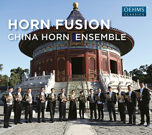 HORN FUSION