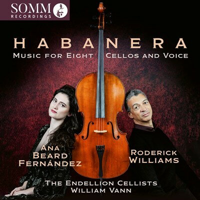 artwork of SOMMCD0699