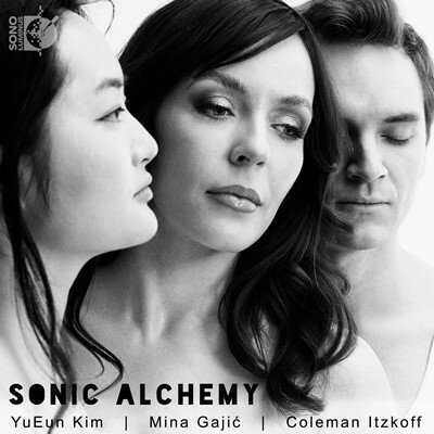 Sonic Alchemy @CIA`FƃsAm̂߂̍iW