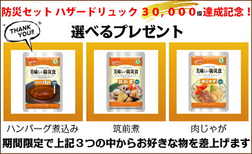 防災セット ハザードリュック 福島県の被災者考案の「非常用持ち出し袋36点セット」 避難リュック/避難グッズ/避難セット/防災グッズ/防災用品/非常持ち出し袋/女性用(男性にも対応)/家族/一人用