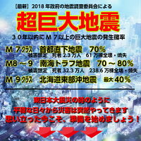 防災セットハザードリュック福島県の被災者考案の「非常用持ち出し袋36点セット」避難リュック/避難グッズ/避難セット/防災グッズ/防災用品/非常持ち出し袋/女性用(男性にも対応)/家族/一人用