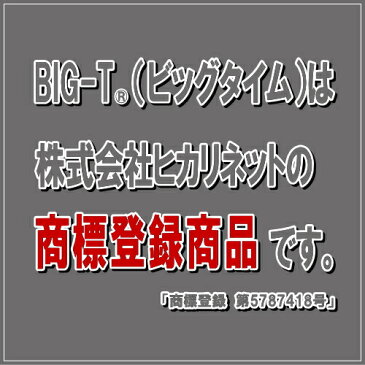 【ポイント10倍】目覚まし時計 強力振動式 NEW ビッグタイム　LED　BIG-T 【送料無料】めざまし時計 ウォッチ 光 目覚し時計(置き時計 置時計 デジタル おしゃれ バイブ めざまし アラーム クロック インテリア 大音量 新生活 絶対起きる 子供)