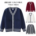 【P20倍＋期間限定100円OFFクーポンあり】 セーター ニット キッズ 子供服 女の子 男の子 保育園 幼稚園 ベビー 赤ちゃん トップス 洗える ギフト 90 100 110 ユニセックス 秋 冬 カジュアル