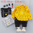 子供服 男の子 女の子 上下セット ジュニア 秋 春 冬 1歳 2歳 3歳ベビー服 上下セット 子供服 男の子 女の子 80 90 100 110 120 セッ...