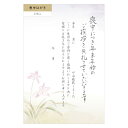 エヌビー社 喪中はがき ラン | 私製 5枚 郵便枠グレー 喪中 はがき 葉書 シンプル 上品 花 はな 蘭 らん 挨拶
