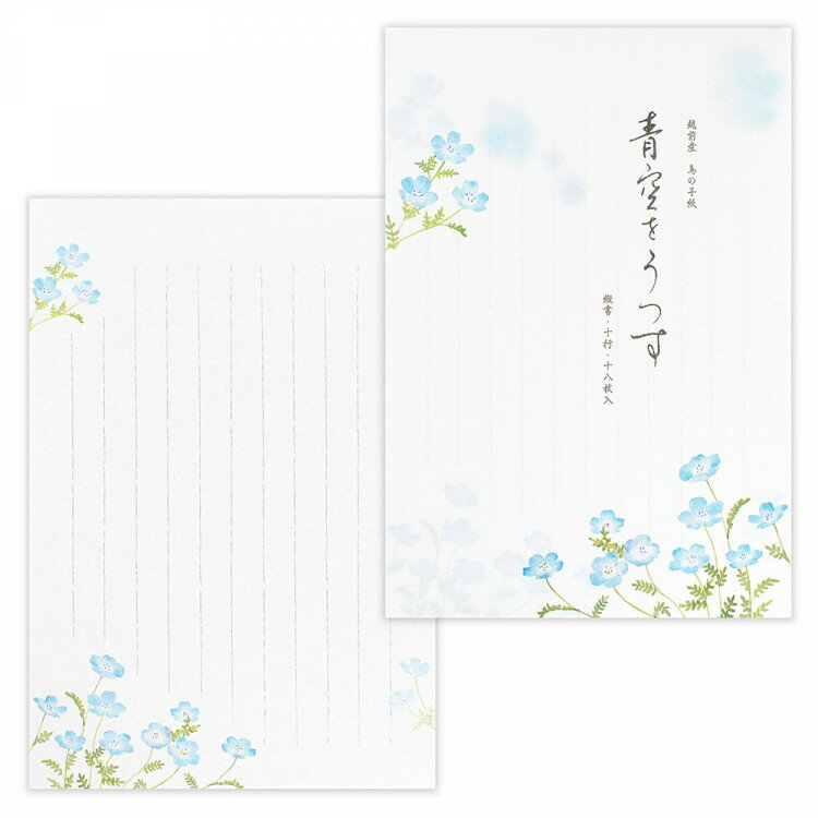 エヌビー社 便箋 初夏二集 青空をうつす | 和紙 18枚入 縦書き 鳥の子紙 b5 相当 和風　 レター 手紙 お礼状 ラブレター 結婚式 記念日 友達 おしゃれ 御洒落 かわいい 可愛い シンプル 上品 大人 高級 メッセージ 転勤 退職 転居 ビジネス 夏 ネモフィラ 水彩