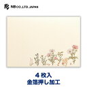 エヌビー社 封筒 秋の綴り コスモス | 4枚入 横書き 金箔 秋のご挨拶 レター 手紙 メッセージ お礼 祝い おしゃれ 御洒落 かわいい 可愛い シンプル ...