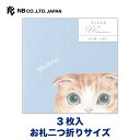 エヌビー社 ぽち袋 Minou フィル | ポチ袋 点袋 3枚入 封シール付 お札二つ折りサイズ 子猫 ねこ 猫 ネコ スコティッシュフォールド ミニ袋 おしゃ...