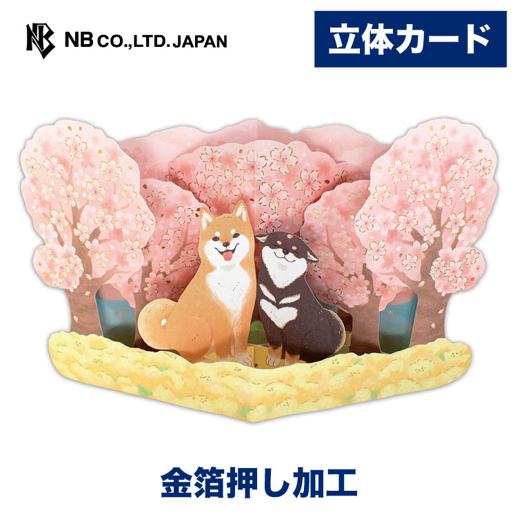 エヌビー社 飾れる立体カード 多目的 さくら しば A グリーティングカード 立体 ポップアップ 金箔 定形内料金 メッセージ 友達 おしゃれ オシャレ かわいい 可愛い 大人 プレゼント あいさつ 挨拶 お礼 お祝い 御祝 さくら サクラ 桜 春 シバイヌ 柴犬 入学 卒業 入園