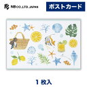 エヌビー社 ポストカード sea | 1枚入 はがき ハガキ 葉書き 郵便番号枠なし 夏 夏のご挨拶 海 魚 ヒトデ ふるさと 故郷 帰省 思い出 旅先 おしゃ...