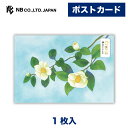 エヌビー社 ポストカード 白椿 | はがき 葉書 ハガキ 1枚入 郵便枠なし 小春あや おしゃれ 御洒落 かわいい 可愛い シンプル 上品 プレゼント メッセー...