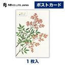 エヌビー社 ポストカード 南天 | はがき 葉書 ハガキ 1枚入 郵便枠なし 小春あや おしゃれ 御洒落 かわいい 可愛い シンプル 上品 プレゼント メッセー...