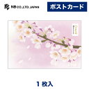エヌビー社 ポストカード 桜 | 1枚 郵便番号枠なし はがき ハガキ 葉書 小春 あや ビジネス おしゃれ 御洒落 かわいい 可愛い シンプル 上品 お礼状 ...