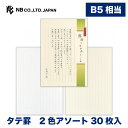 エヌビー社 伝えるきもち B5 便箋 縦罫 | 縦書き 2色アソート 30枚入 b5 相当 レター 手紙 お礼状 ラブレター 結婚式 記念日 友達 おしゃれ 御...